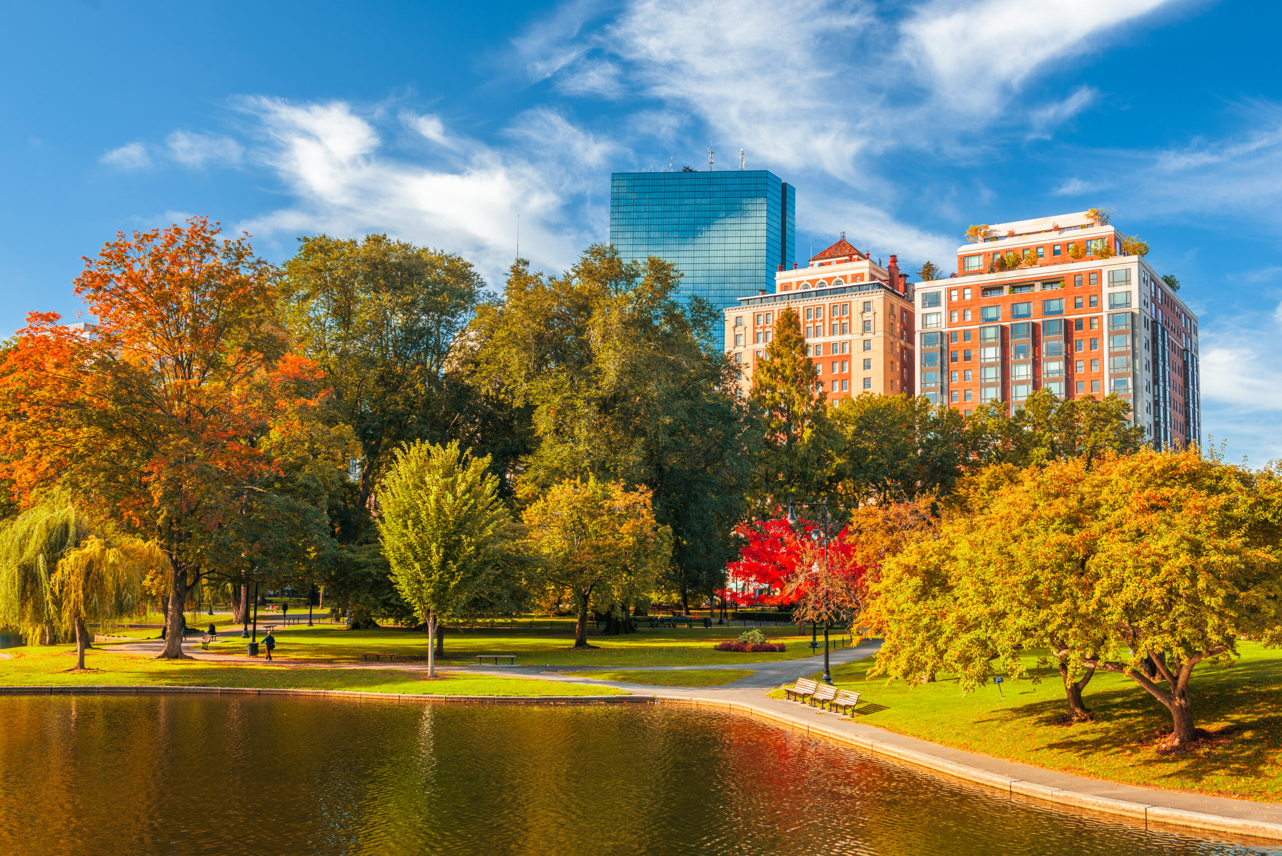 Boston Public Garden