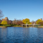 Boston public garden