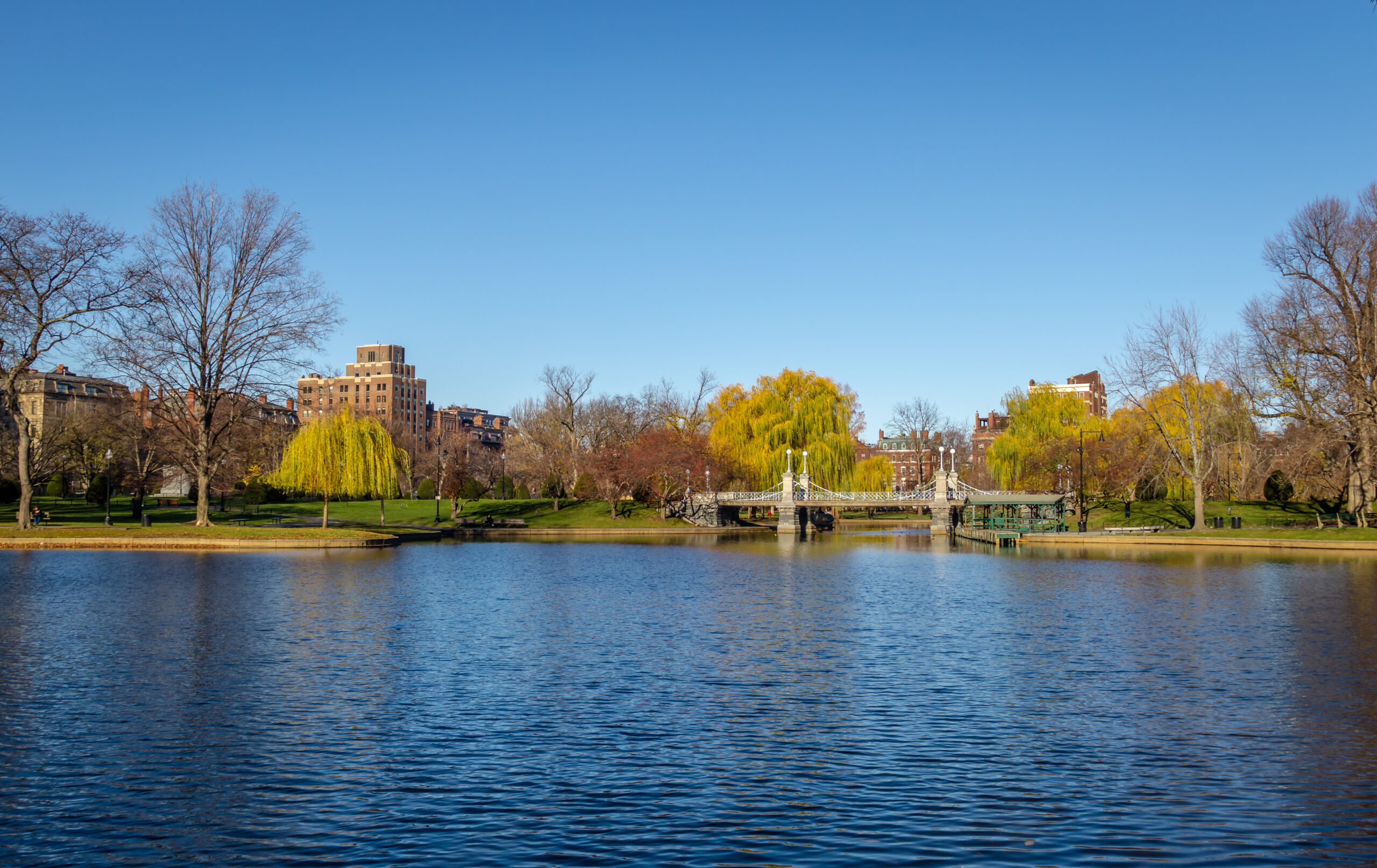 Boston public garden