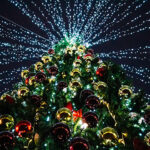 bottom of christmas tree with beautiful light 2025