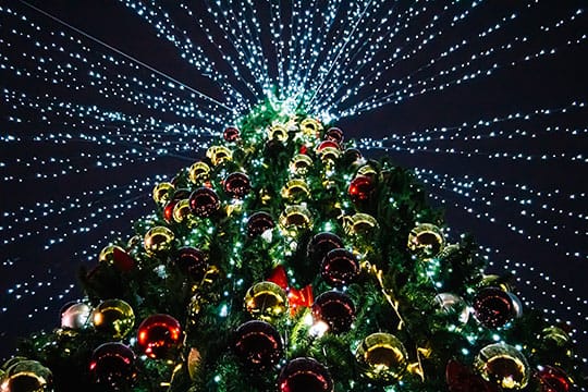 bottom of christmas tree with beautiful light 2025